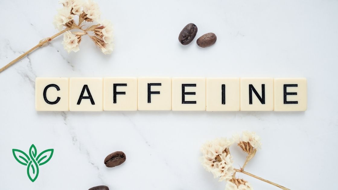 Caffeine, Sleep, and Stress: Choosing the Right Tea for the Right Time